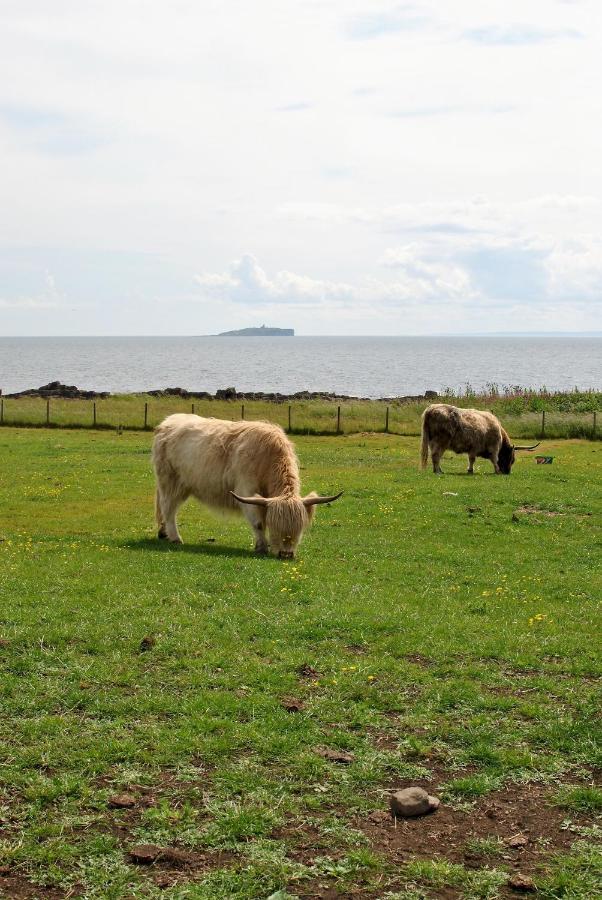 Clover Cottage Countryside Retreat With Sea Views Crail Exterior photo